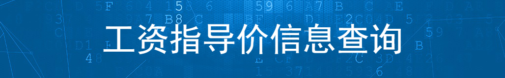 工资指导价信息查询