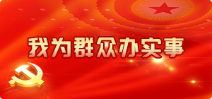 我为群众办实事