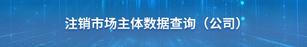 注销市场主体数据查询（公司）