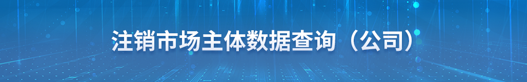 省市场监督管理局-注销市场主体数据查询（公司）