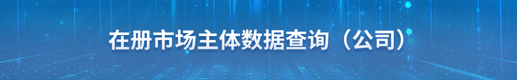 在册市场主体数据查询（公司）