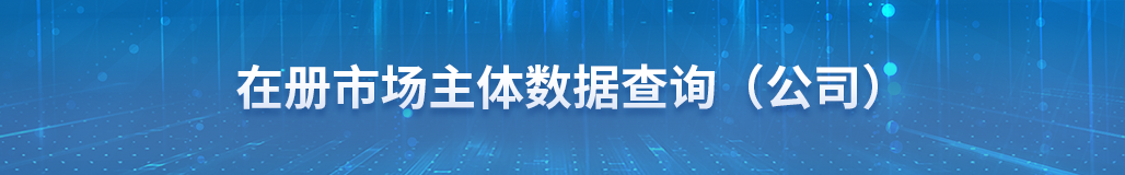 省市场监督管理局-在册市场主体数据查询（公司）